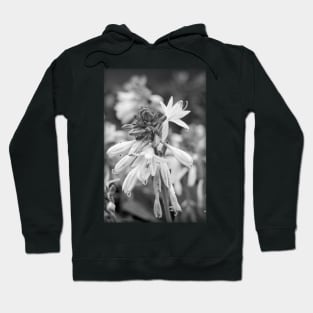 Flowers In Drops Hoodie